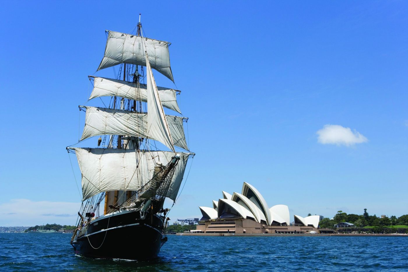 sydney harbour tall ships cruises