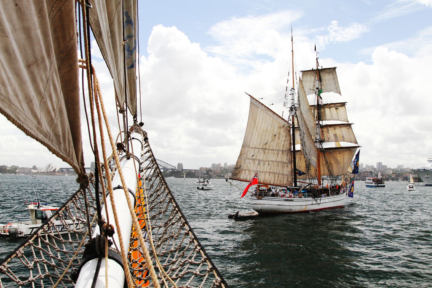 Australia Day Tall Ships Race | Sydney Harbour Tall Ships